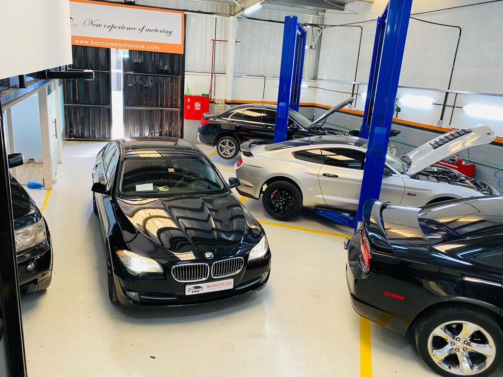 WhatsApp Image 2023-11-05 at 9.03.16 AM